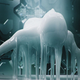Image for article titled It Took 30 Artists To Redo Ghost In The Shell's Opening In Live Action